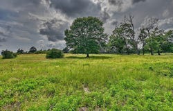 17718 Tranquil Lane, Cat Spring, TX 78933
