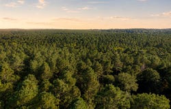 State Highway 294, Elkhart, TX 75839