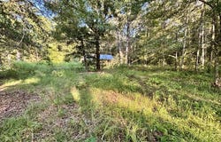 2952 Highway 18, LOUIN, MS 39338