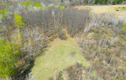 McGrew Rd, Isle, MN 56342