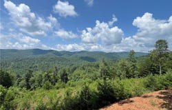 Lazy Bear Lane, Purlear, NC 28665