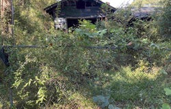 66 Swan Lane, Bamberg, SC 29003