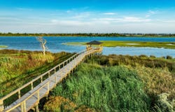 202 Lookout Point, Hampstead, NC 28443