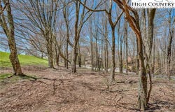 201 Grassy Gap Loop Road, Beech Mountain, NC 28604