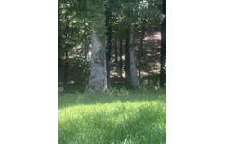 2501 Greene 516, Lafe, AR 72436