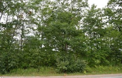 FISHER ROAD, TRAVERSE CITY, MI 49685