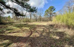33866 HIGHWAY 280 lot: 0, CHILDERSBURG, AL 35044