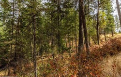 N Vista Cir, Colbert, WA 99005