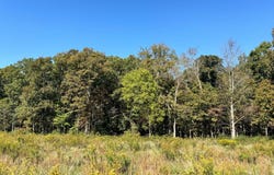 Golliher Rd, Rockwood, TN 37854