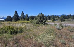 Shoreview Drive, Chiloquin, OR 97624