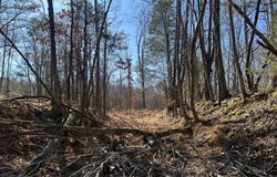 Blairs Chapel Road, Jackson, TN 38301