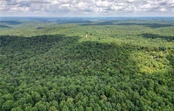 52 Summerfield Creek, AR 72482