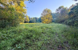 2605 KY 1094, Campton, KY 41301