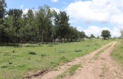 1220 Brushy Branch Rd, Lockhart, TX 78644