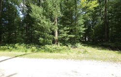 Red Oak Trail, Prescott, MI 48610