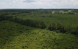 County Road 131b, Morton, MS 39117
