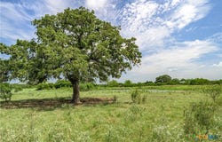 Fm 2237, Flatonia, TX 78941