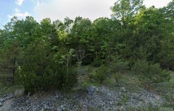 1113 Pine Ridge Drive, Horseshoe Bend, AR 72512
