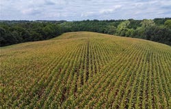 331 County Road 433, Jackson, MO 63755