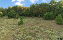 FM 314, Brownsboro, TX 75756