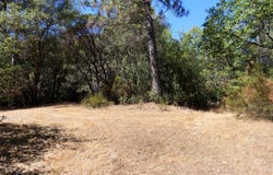 163 Oak Road, Midpines, CA 95345