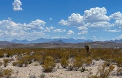 C32 Powell Rd, Terlingua, TX 79852