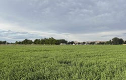 Hwy 95, Payette, ID 83661