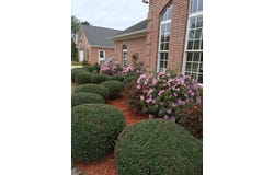 630 HWY 342, PONTOTOC, MS 38863