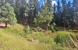 170 E Green Apple Lane, Payson, AZ 85541