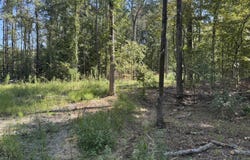 Hwy 18 E, Gray, GA 31032