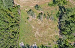 Regions Lane, Pineville, SC 29468