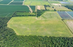 N Gray Rd, Des Arc, AR 72040