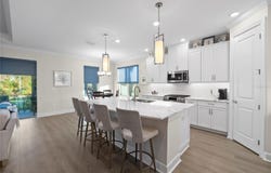 4618 ISONZO Way, WESLEY CHAPEL, FL 33543