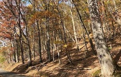 Holly Meadows Road, Parsons, WV 26287