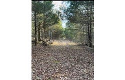 14 & 15 Treasure Point, Lampe, MO 65681