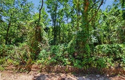22501 E 830 Road, Welling, OK 74471