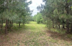 Colice Hall Lane, Ahoskie, NC 27910