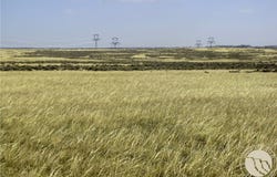 NHN Lindstrom Road, Shepherd, MT 59079