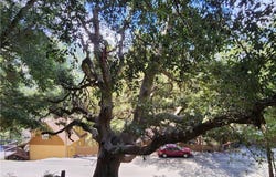 1127 Arbula Drive, Crestline, CA 92325