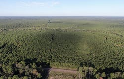 1690 FM 1751, San Augustine, TX 75972