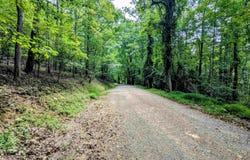 Cannady School Road, Floyd, VA 24091