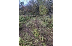 126 Devany Road, Ferndale, NY 12734