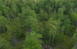 Pond Road lot: 1, Burnham, ME 04922