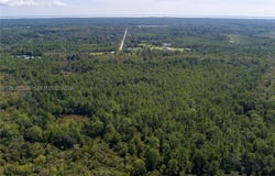 Mims, FL 32754