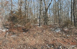 Lot 2 Block 13 Morrison Sub, West Plains, MO 65775