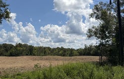 1575 Highway 96 S, San Augustine, TX 75972