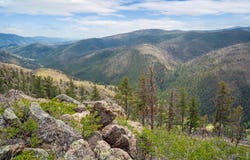 Spencer Mountain Rd, Bellvue, CO 80512