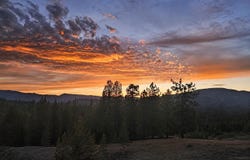905 Dancing Bears, Portola, CA 96122