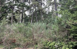 8th St, Florence, OR 97439