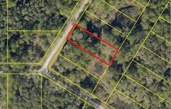 Bedstone Drive, Webster, FL 33597
